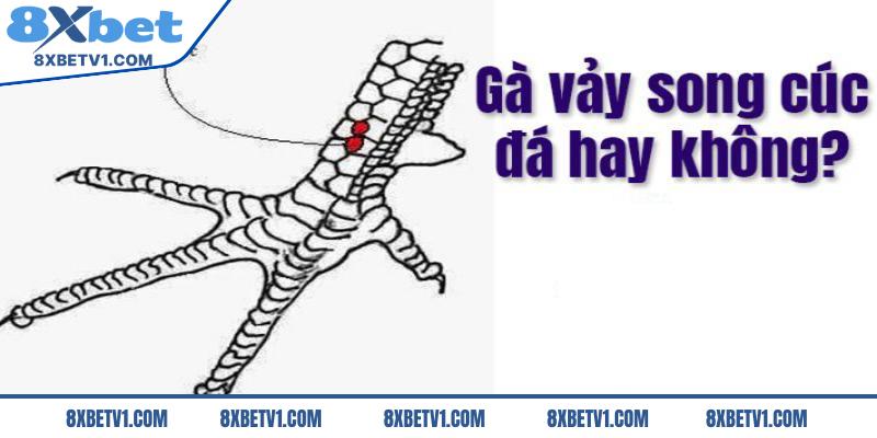 Vảy gà song cúc là gì?